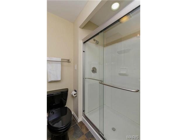 919 Alpine Ridge Dr, Ballwin, MO 63021 photo 21