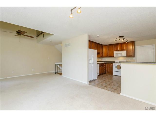 919 Alpine Ridge Dr, Ballwin, MO 63021 photo 6
