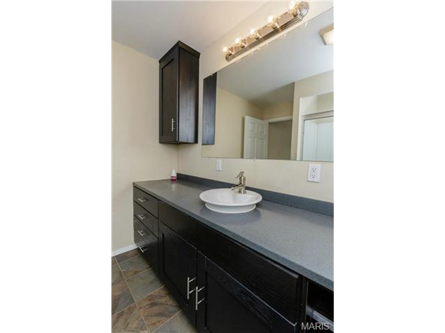919 Alpine Ridge Dr, Ballwin, MO 63021 photo 20