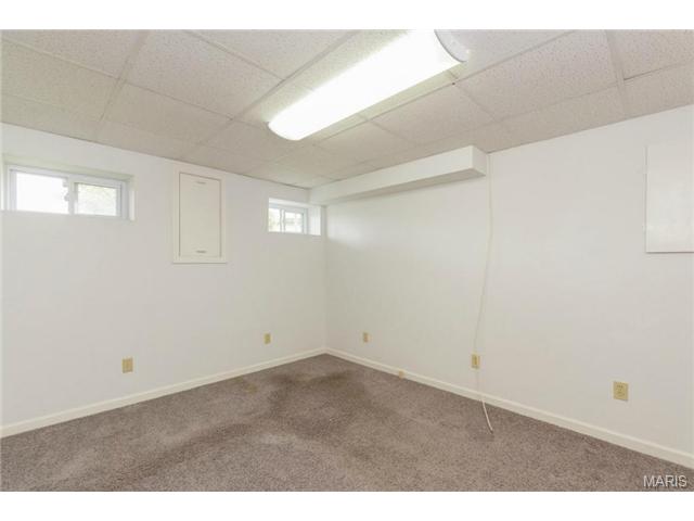 919 Alpine Ridge Dr, Ballwin, MO 63021 photo 29