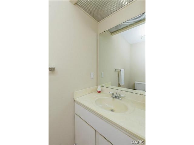 919 Alpine Ridge Dr, Ballwin, MO 63021 photo 26