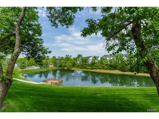919 Alpine Ridge Dr, Ballwin, MO 63021 photo 36