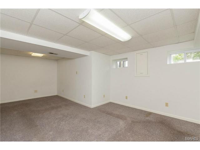 919 Alpine Ridge Dr, Ballwin, MO 63021 photo 30