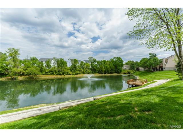 919 Alpine Ridge Dr, Ballwin, MO 63021 photo 9