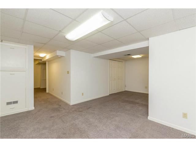 919 Alpine Ridge Dr, Ballwin, MO 63021 photo 31