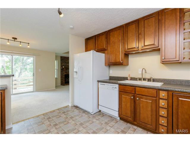 919 Alpine Ridge Dr, Ballwin, MO 63021 photo 12