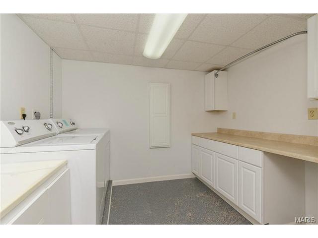 919 Alpine Ridge Dr, Ballwin, MO 63021 photo 33