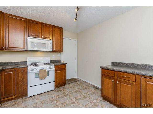 919 Alpine Ridge Dr, Ballwin, MO 63021 photo 11