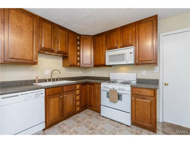 919 Alpine Ridge Dr, Ballwin, MO 63021 photo 5