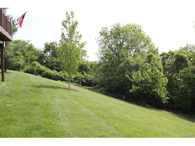 3084 Devilla Trl, Saint Charles, MO 63301 photo 67