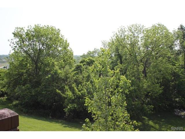 3084 Devilla Trl, Saint Charles, MO 63301 photo 55