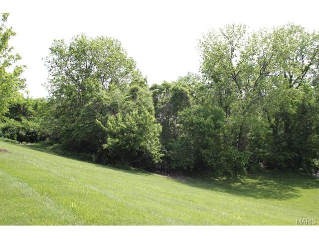 3084 Devilla Trl, Saint Charles, MO 63301 photo 66