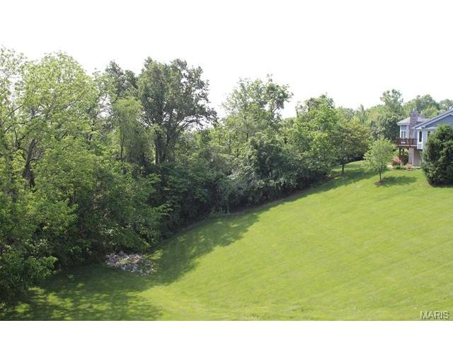 3084 Devilla Trl, Saint Charles, MO 63301 photo 54