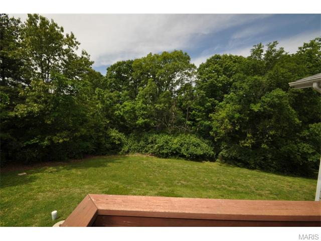 18621 Hardt Rd, Glencoe, MO 63038 photo 14