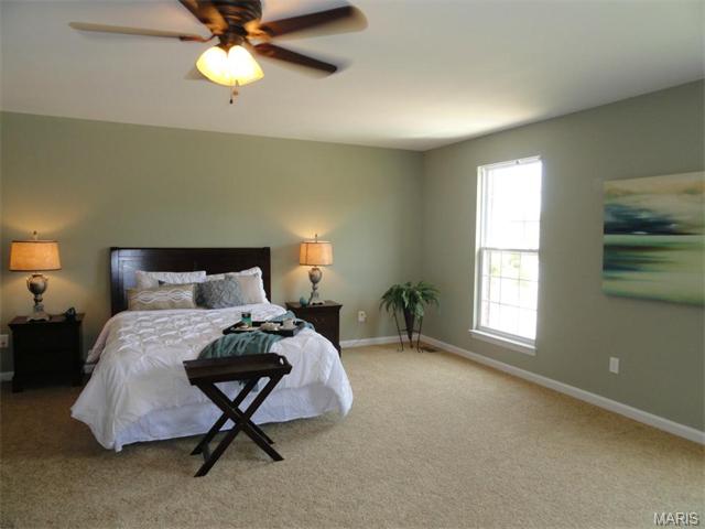 433 Rascal Xing, O'fallon, MO 63366 photo 18