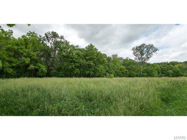 2083 Eisenbath Rd, O'fallon, MO 63366 photo 13