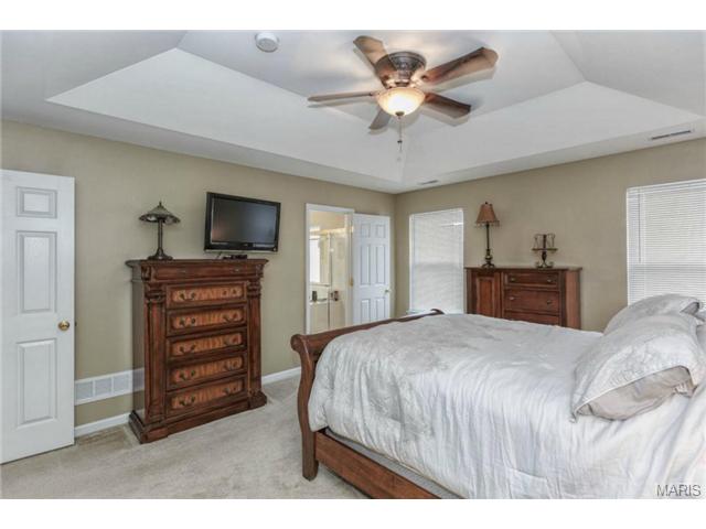416 Spring Trce, O'fallon, MO 63368 photo 10