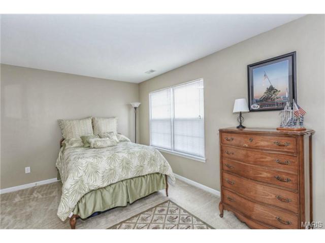 416 Spring Trce, O'fallon, MO 63368 photo 16