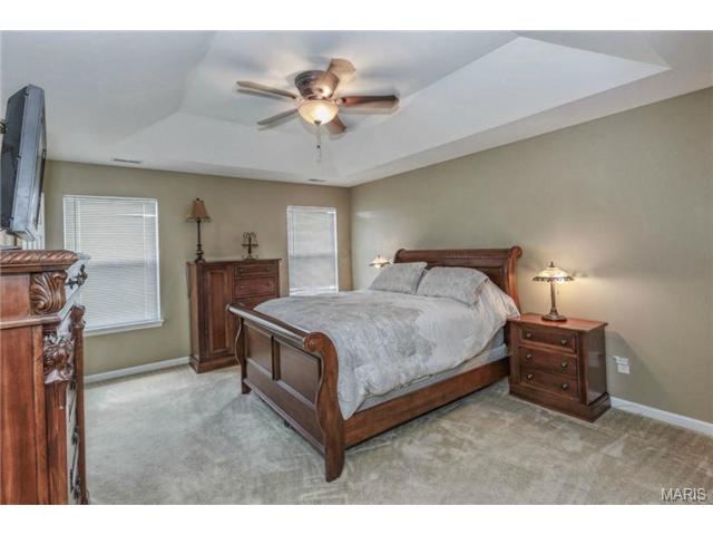 416 Spring Trce, O'fallon, MO 63368 photo 11