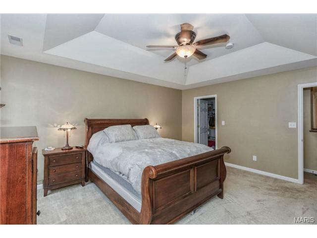 416 Spring Trce, O'fallon, MO 63368 photo 9