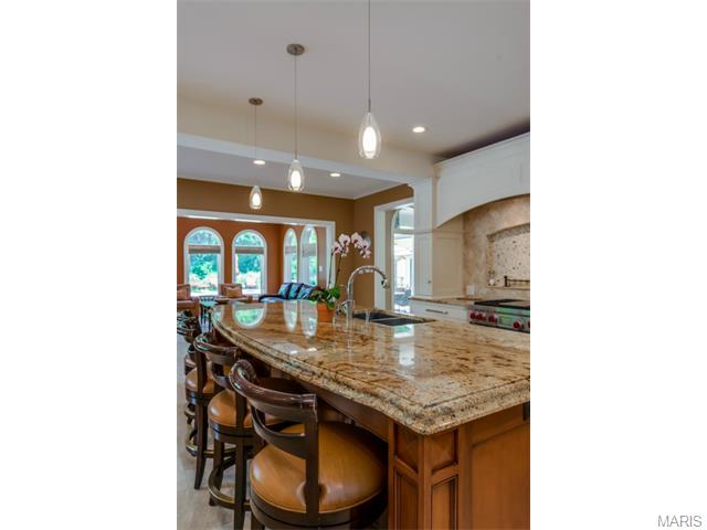 10 Frontenac Pl, Frontenac, MO 63131 photo 21