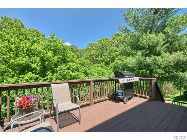 615 Wynn Pl, Ballwin, MO 63021 photo 22