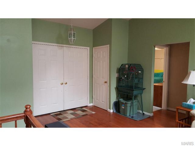 437 Melanie Mdws, Ballwin, MO 63021 photo 14