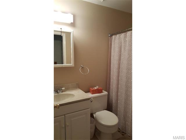437 Melanie Mdws, Ballwin, MO 63021 photo 28
