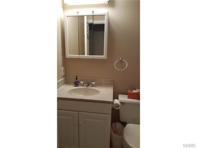 437 Melanie Mdws, Ballwin, MO 63021 photo 30