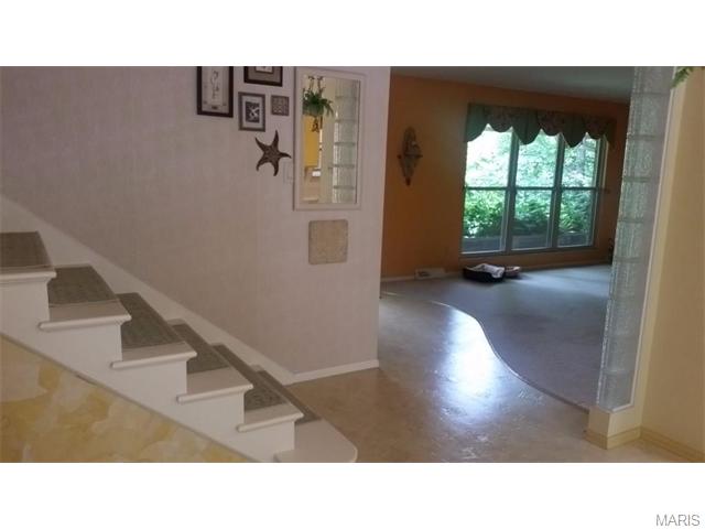 5 Treecrest Ct, Fenton, MO 63026 photo 33
