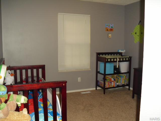 2013 Winter Hill Dr, O'fallon, MO 63366 photo 12