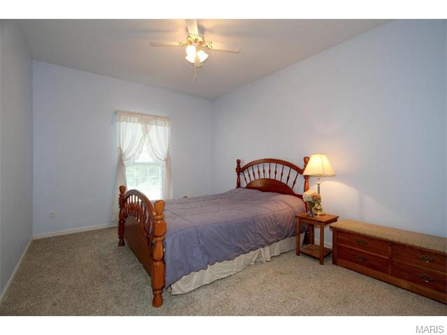 723 Castle Pines Dr, Ballwin, MO 63021 photo 16