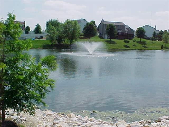 12 Old Glory Ct, O'fallon, MO 63366 photo 63