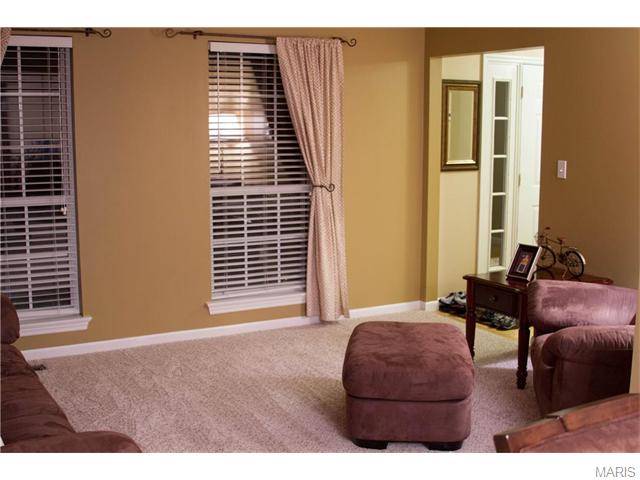 913 Kylemore Dr, Ballwin, MO 63021 photo 3