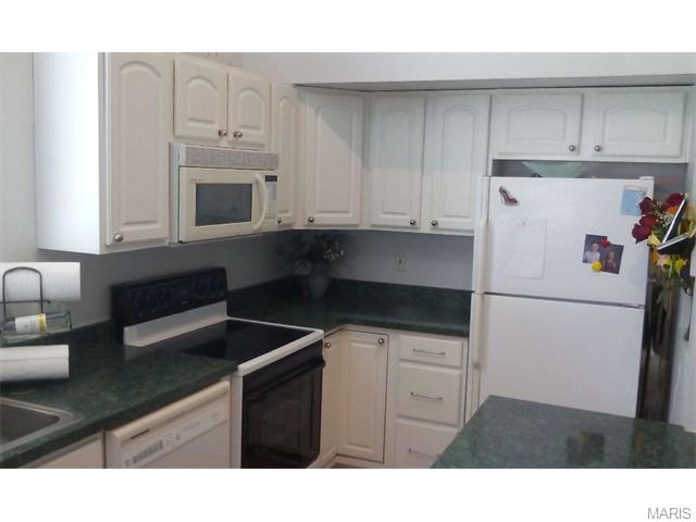 418 Country Downs, Ballwin, MO 63021 photo 2