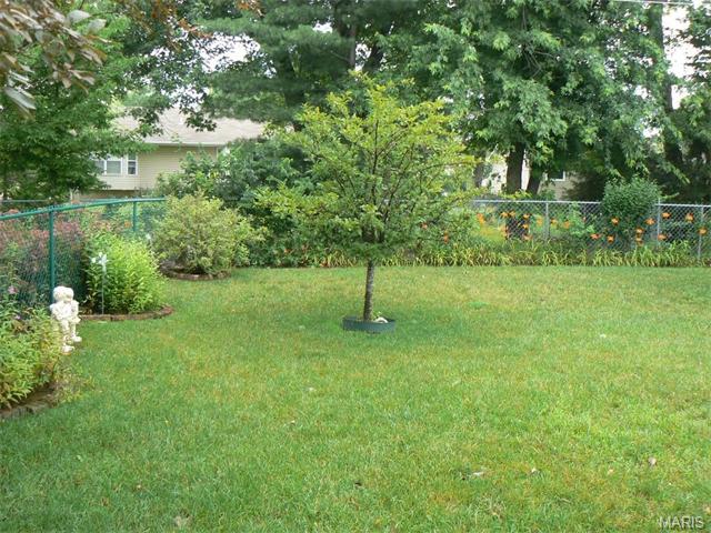 1462 Chambers Dr, O'fallon, MO 63366 photo 27