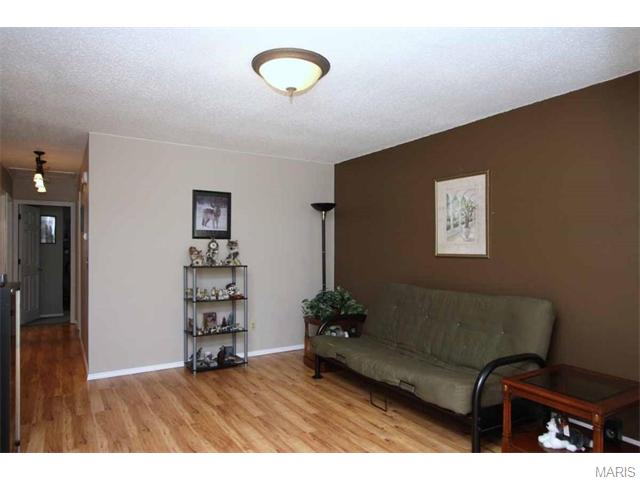 703 Trudy Ln, O'fallon, MO 63366 photo 7