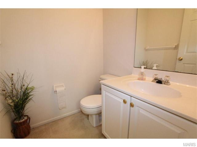 16924 Hickory Crst, Wildwood, MO 63011 photo 25