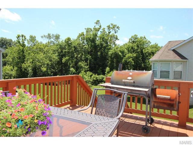 965 Molloy Dr, O'fallon, MO 63366 photo 4