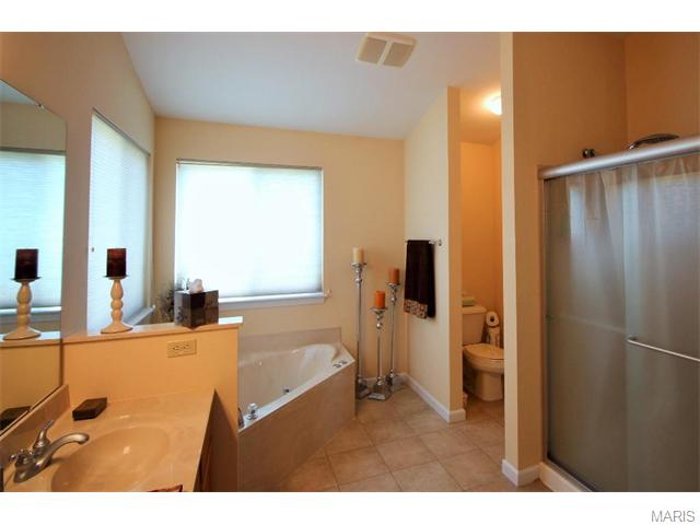 965 Molloy Dr, O'fallon, MO 63366 photo 26