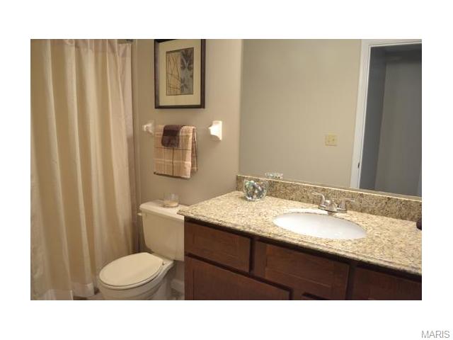 863 Woodside Trails Dr, Ballwin, MO 63021 photo 22