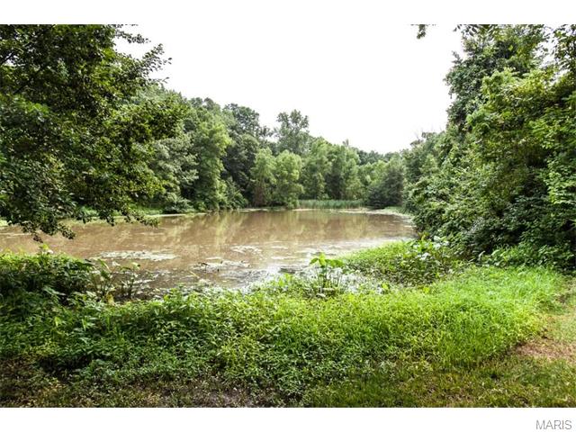 1917 Rustic Oak Rd, Chesterfield, MO 63017 photo 68