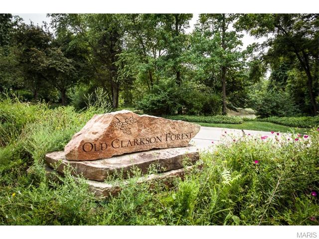 1917 Rustic Oak Rd, Chesterfield, MO 63017 photo 70