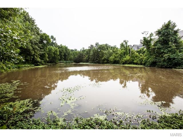 1917 Rustic Oak Rd, Chesterfield, MO 63017 photo 69