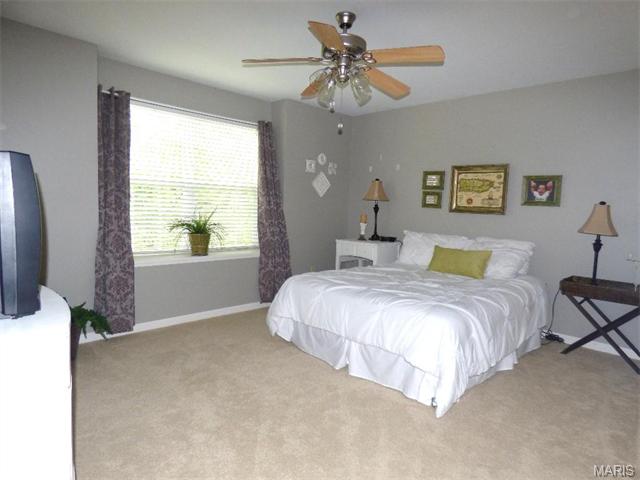 115 Preston Cir, O'fallon, MO 63368 photo 22