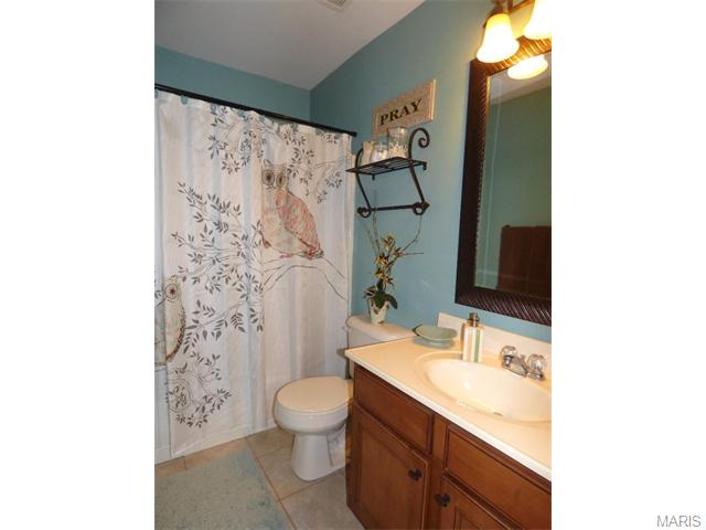 115 Preston Cir, O'fallon, MO 63368 photo 25