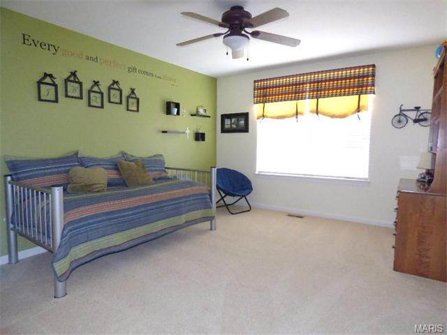 115 Preston Cir, O'fallon, MO 63368 photo 23