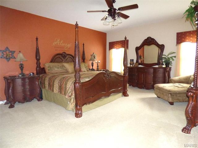 115 Preston Cir, O'fallon, MO 63368 photo 15