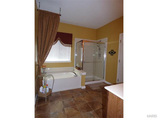 115 Preston Cir, O'fallon, MO 63368 photo 18
