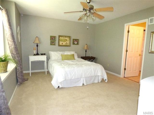 115 Preston Cir, O'fallon, MO 63368 photo 21